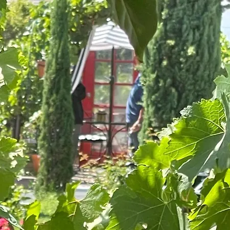 Chardonnay Lodge